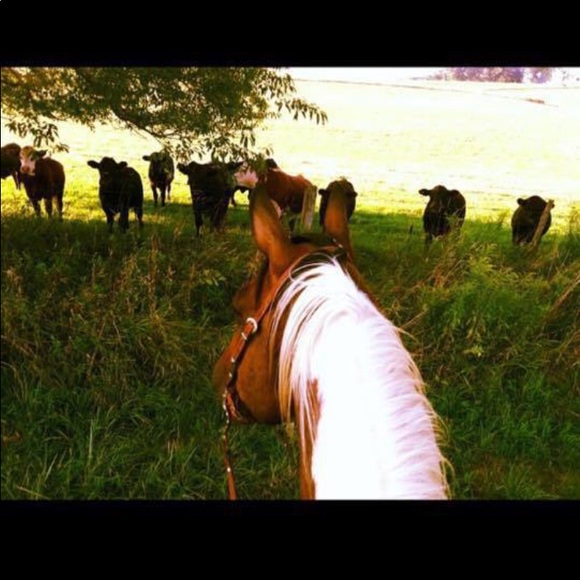 Meet your Posher, Jenny - Picture 14 of 17